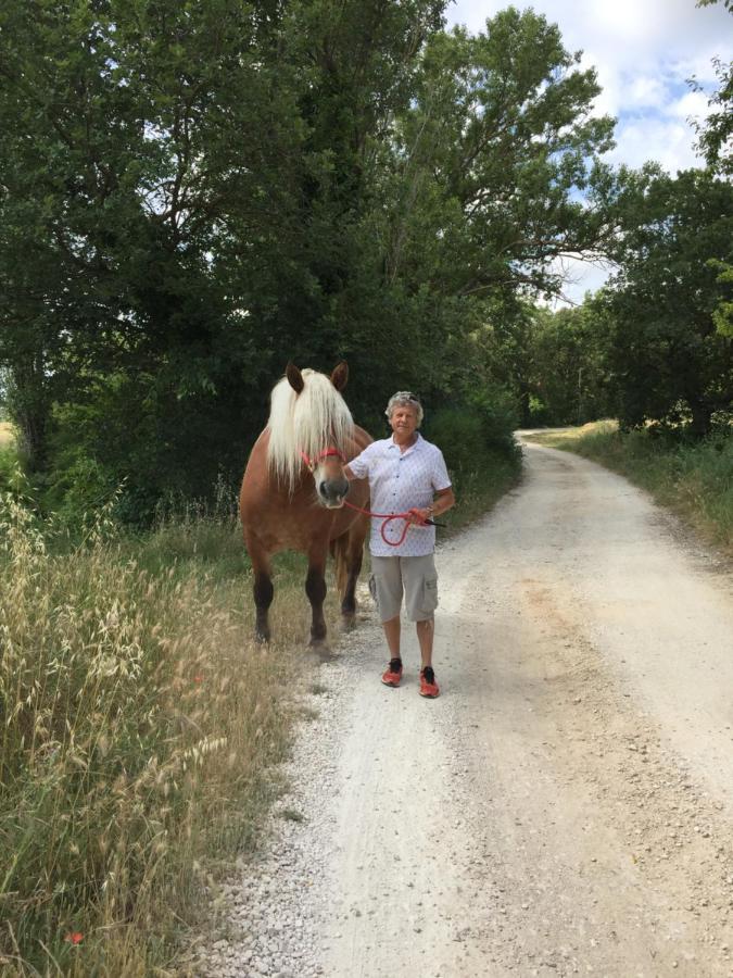 B&B Et Gite D'Ayran Saint-Quentin-la-Poterie Eksteriør bilde