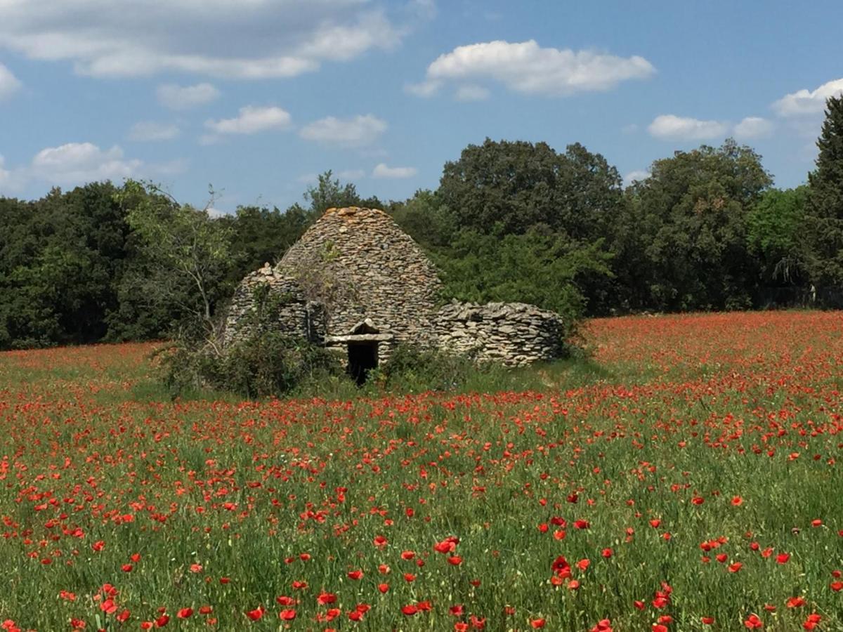 B&B Et Gite D'Ayran Saint-Quentin-la-Poterie Eksteriør bilde