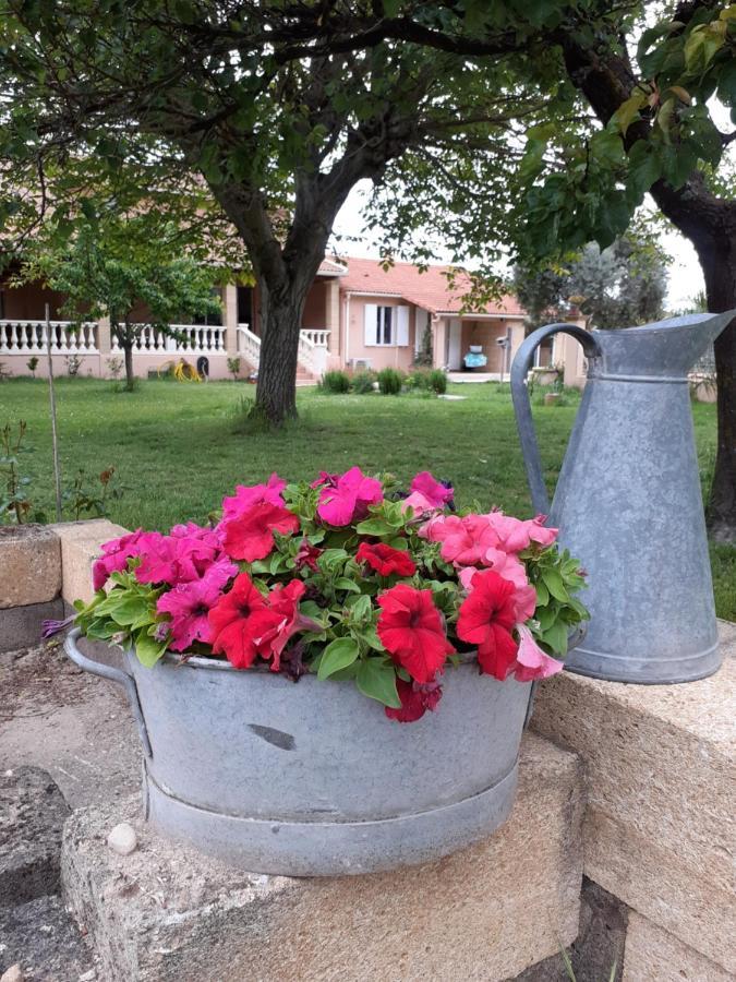 B&B Et Gite D'Ayran Saint-Quentin-la-Poterie Eksteriør bilde